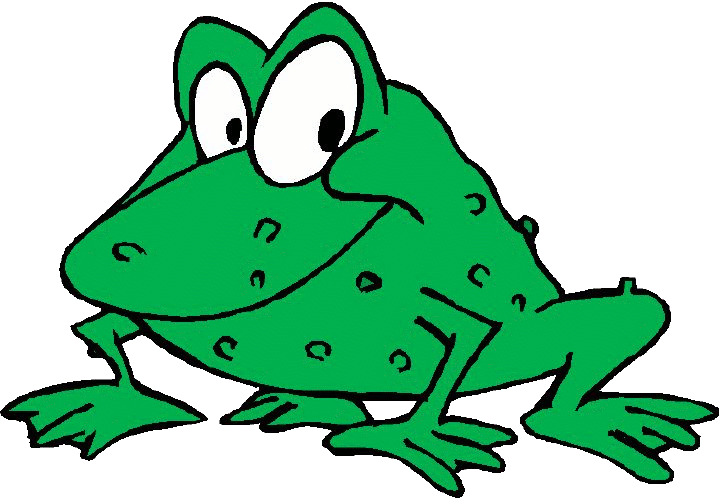 A FROG