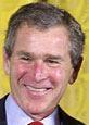 Bush