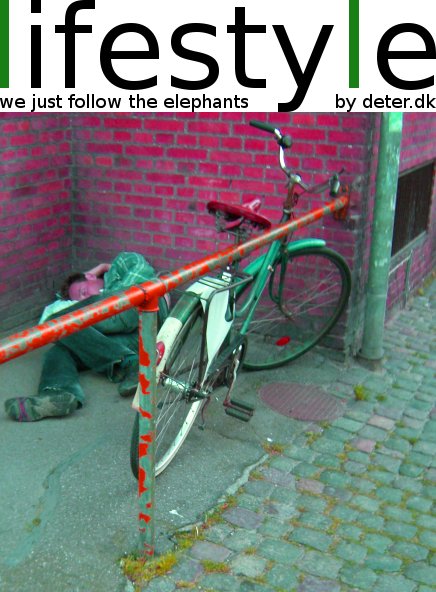 lifestyle - follow the elephants