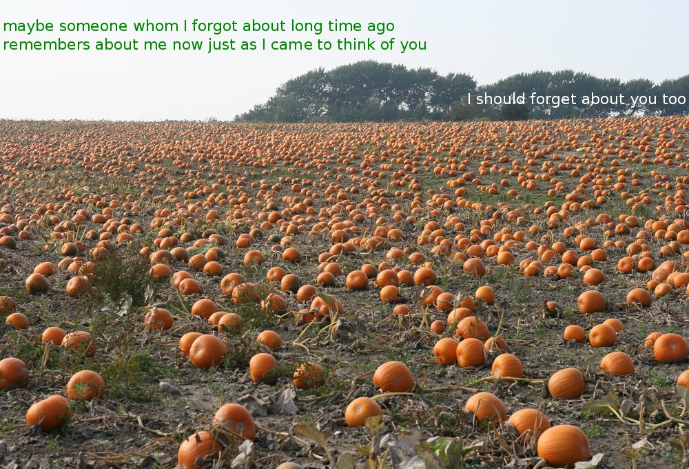 I should forget about you too